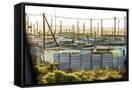 Canvas Black