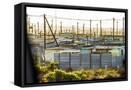 Framed Canvas