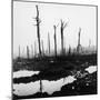 3rd Battle of Ypres-Robert Hunt-Mounted Photographic Print