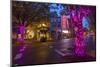 3rd Street in downtown McMinnville, Oregon, USA-Chuck Haney-Mounted Photographic Print