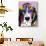 4 Beagle-Dean Russo-Giclee Print displayed on a wall