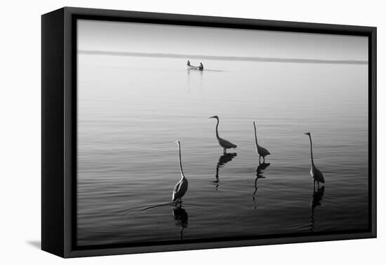 4 Heron and Boat-Moises Levy-Framed Stretched Canvas