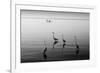 4 Heron and Boat-Moises Levy-Framed Photographic Print