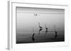 4 Heron and Boat-Moises Levy-Framed Photographic Print