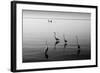 4 Heron and Boat-Moises Levy-Framed Photographic Print