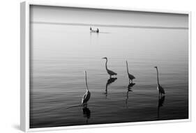 4 Heron and Boat-Moises Levy-Framed Photographic Print