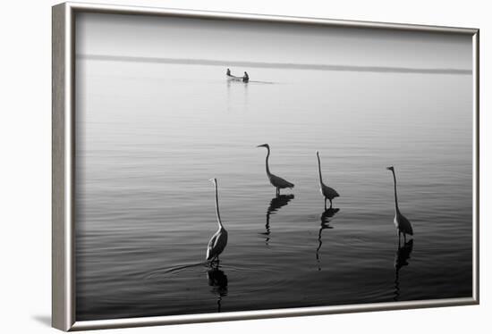 4 Heron and Boat-Moises Levy-Framed Photographic Print