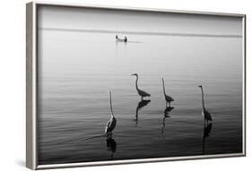 4 Heron and Boat-Moises Levy-Framed Photographic Print