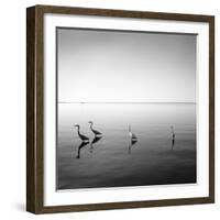 4 Herons-Moises Levy-Framed Photographic Print