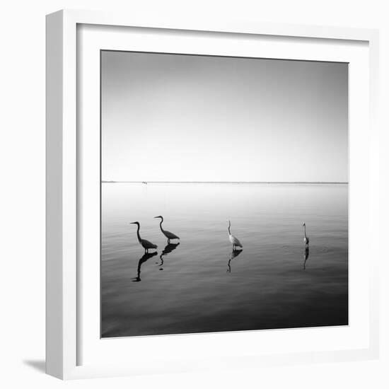 4 Herons-Moises Levy-Framed Photographic Print