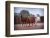 4 Horses-Steve Gadomski-Framed Premium Photographic Print