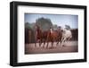 4 Horses-Steve Gadomski-Framed Premium Photographic Print