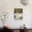 4-Months, Portrait of Tabby-Tortoiseshell-And-White Female Lying on Garden Table with Coneflowers-Jane Burton-Photographic Print displayed on a wall