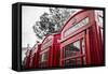 4 red telephone boxes, London, England, UK-Jon Arnold-Framed Stretched Canvas