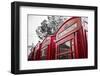 4 red telephone boxes, London, England, UK-Jon Arnold-Framed Photographic Print