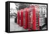 4 red telephone boxes, London, England, UK-Jon Arnold-Framed Stretched Canvas