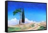 4 Trees, Picenza, Tuscany, 2002-Trevor Neal-Framed Stretched Canvas