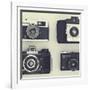 4 Vintage Cameras-Tom Quartermaine-Framed Giclee Print