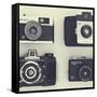 4 Vintage Cameras-Tom Quartermaine-Framed Stretched Canvas