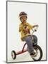 4 Year Old Boy Posing on His Tricycle, New York, New York, USA-Paul Sutton-Mounted Premium Photographic Print