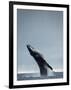 40 Ton-Design Fabrikken-Framed Photographic Print