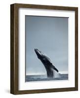 40 Ton-Design Fabrikken-Framed Photographic Print