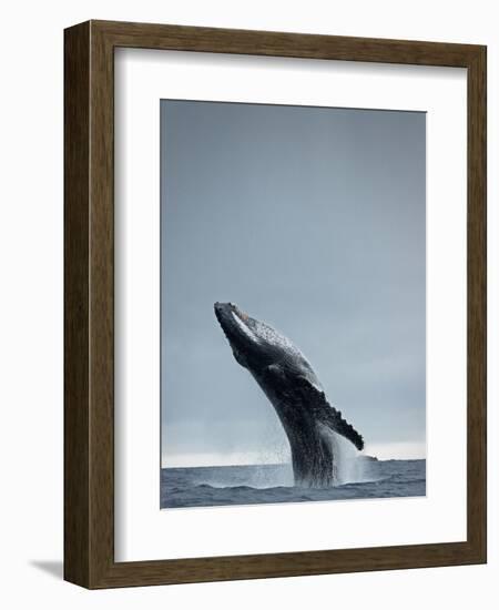 40 Ton-Design Fabrikken-Framed Photographic Print