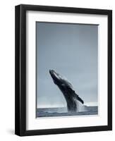 40 Ton-Design Fabrikken-Framed Photographic Print