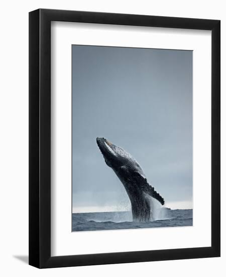 40 Ton-Design Fabrikken-Framed Photographic Print