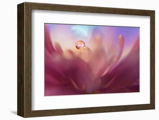 4135_A sense of softness-Heidi Westum-Framed Photographic Print