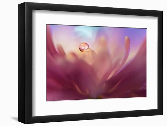 4135_A sense of softness-Heidi Westum-Framed Photographic Print