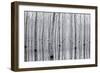 41944-Aglioni Simone-Framed Art Print