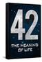 42 The Meaning of Life Poster-null-Framed Stretched Canvas