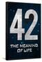 42 The Meaning of Life Poster-null-Framed Poster