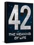 42 The Meaning of Life-null-Framed Stretched Canvas