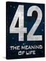 42 The Meaning of Life-null-Stretched Canvas