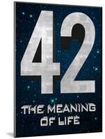 42 The Meaning of Life-null-Mounted Poster