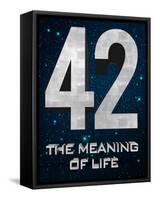 42 The Meaning of Life-null-Framed Stretched Canvas