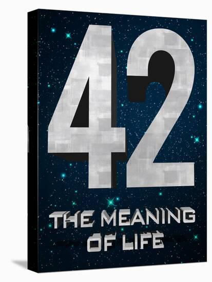 42 The Meaning of Life-null-Stretched Canvas