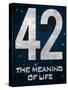 42 The Meaning of Life-null-Stretched Canvas