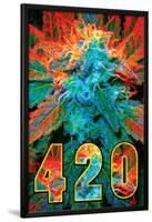 420-null-Lamina Framed Poster