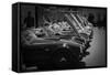 427 Cobras-NaxArt-Framed Stretched Canvas