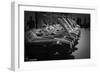 427 Cobras-NaxArt-Framed Photo