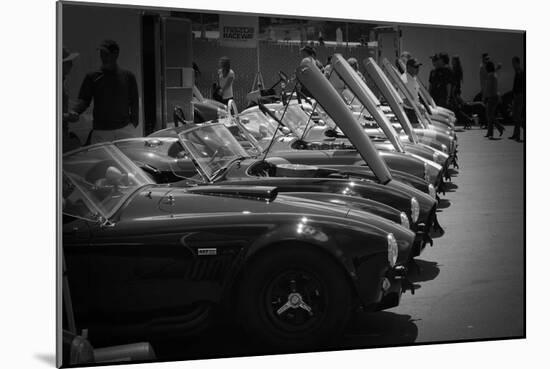 427 Cobras-NaxArt-Mounted Photo