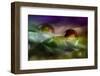 4404_Bathing-Heidi Westum-Framed Photographic Print