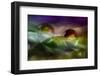 4404_Bathing-Heidi Westum-Framed Photographic Print