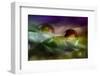 4404_Bathing-Heidi Westum-Framed Photographic Print