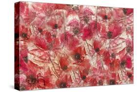 4446_Frozen poppies-Heidi Westum-Stretched Canvas