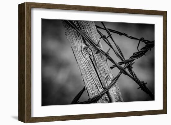 444-Dan Ballard-Framed Photographic Print