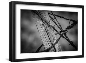 444-Dan Ballard-Framed Photographic Print